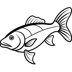 Zander Outline Drawing Monoline Vector Art