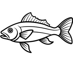 Zander Outline Drawing Monoline Vector Art