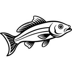 Zander Outline Drawing Monoline Vector Art