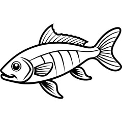 Zander Outline Drawing Monoline Vector Art