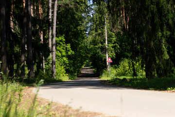 Paved country road bending through a dense forest with a triangular warning sign, surrounded by...