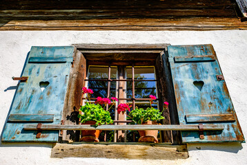 Bright sunny day with potted plants by the window in a cozy room surrounded by nature in the...