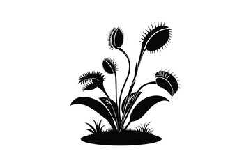 Venus Flytrap Plant Silhouette on White Background