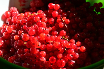 Red currant berries in a white bowl, close-up.