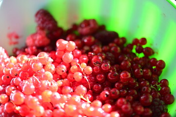 Red currant berries in a white bowl, close-up.