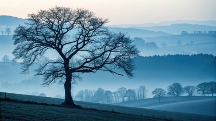 Solitary tree on a hillside with layers of hills fading into the distance in a misty blue atmosphere