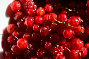 Red currant berries in a bowl. Selective focus. nature.