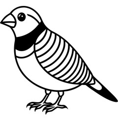 Zebra Finch Outline Bird Vector