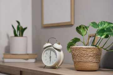 Alarm clock and houseplant on chest of drawers, closeup