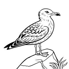 seagulls flying hand drawn vector sketch in outline style
