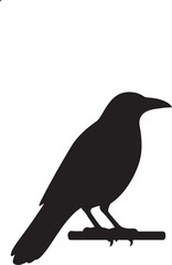Black crow or raven bird vector illustration on a branch or white background