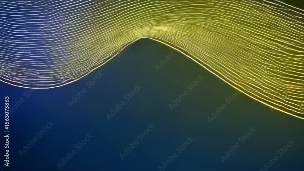 Poster abstract golden waves create a flowing pattern against a dark blue background