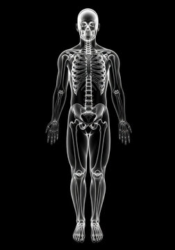 Medical X-ray Scan of a Full Human Body