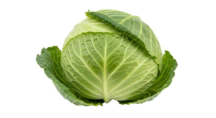 Obraz premium Fresh Green Cabbage – Tightly Wrapped Leaves Organic Cabbage Isolated isolated on transparent background 