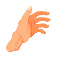 Illustration of human hand movements