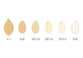 米の精米具合、もみから白米
