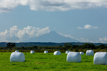 Pasture rolls and Mt. Rishiri