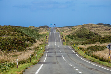 Straight road with multiple undulating