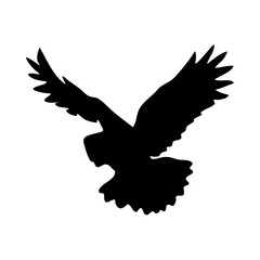 Obraz premium eagle in flight silhouette in transparent background 