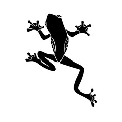 Obraz premium frog silhouette in transparent background 