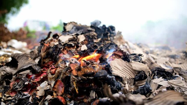 Blackened fragments smolder as haze rises in rural land