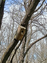 In any natural environment, wild birds will never be harmed by the help of human hands.