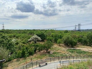 Panorama from the top of Unity Hill to the young green forest of Khortytsia Island against the background of a cloudy sky illuminated by the rays of the midday sun.