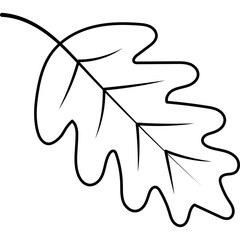 Doodle Fall Leaf 