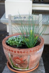 A terracotta pot with a flower design holds a variety of green plants, including chives, sitting on...