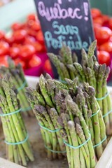 Bundles of fresh asparagus are displayed for sale at Marche Jean Talon farmer's market in the Montreal, Quebec, Canada. The vegetables are tied with rubber bands and ready for purchase.