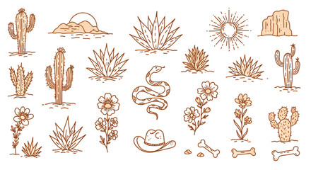 Desert elements vector illustration: cactus, snake, flowers, and sun in hand-drawn line art style for graphic design