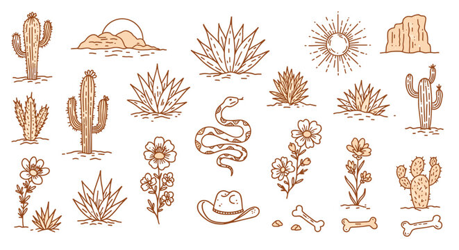Desert elements vector illustration: cactus, snake, flowers, and sun in hand-drawn line art style for graphic design