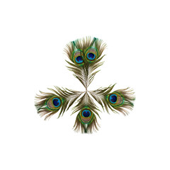 Obraz premium Cluster of Decorative Peacock Feathers Representing Beauty and Grace
