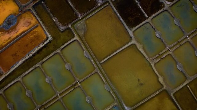 Marais salants de Normandie (France)