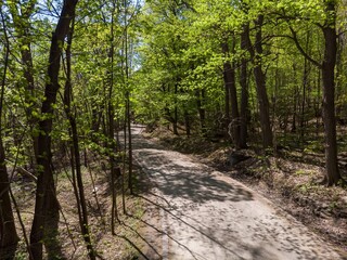 A scenic view of a paved path winding through a lush forest in Mont Royal, Montreal, Quebec,...
