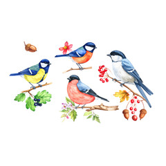 Cute cartoon birds on a tree branch, a sweet illustration of nature's design