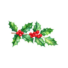 Christmas holly berry branches, leaves, and red fruit decorations, symbols of the winter holiday season