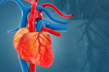 Human heart on medical background. 3d illustration