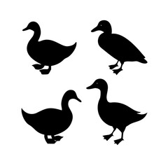 Four Silhouettes of Ducks, Perfect for Logos or Design Elements
