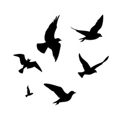 Silhouette of birds in flight, perfect for graphic design or nature-themed projects.
