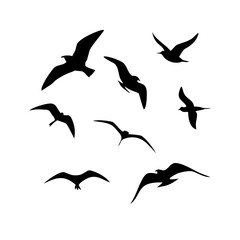 Silhouettes of birds in flight, perfect for nature or travel themes.