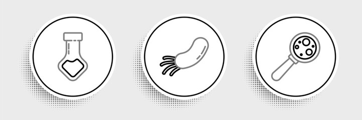 Set line Microorganisms under magnifier, Test tube and flask chemical and Bacteria icon. Vector