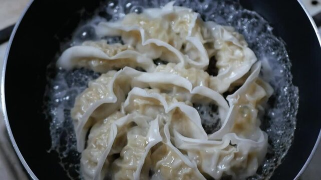 Close up of fried japanese gyoza dumplings in fry pan in homemade style at kitchen,cooking japanese food lifestyle.Cooking homamade chinese dumpling fried gyoza