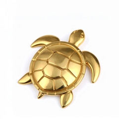 turtle on white