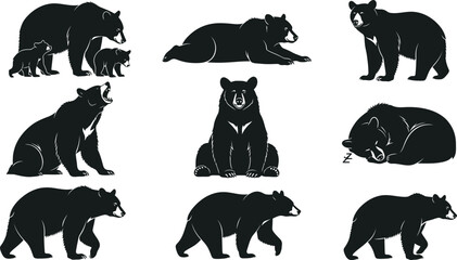 Black bear vector set collection of bears illustration animal wildlife art
