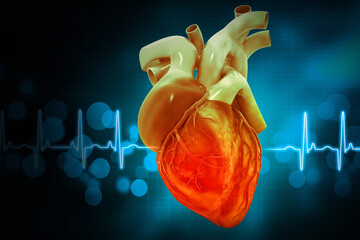 Human heart on ecg background. 3d illustration