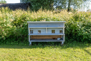 Outdoor Shelter for Stray Cats in Rural Setting with Wooden Cat House and Food Bowls