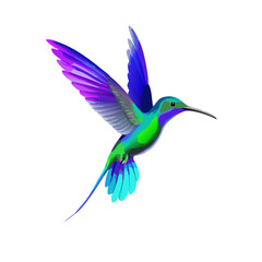 Obraz premium Colorful Hummingbird Illustration – Exotic Tropical Bird Artwork, Vibrant Flying Wildlife Design, Nature-Inspired Clipart, Nectar Feeder Animal Graphic