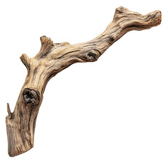 Close-up of a weathered, curved branch against transparent background.