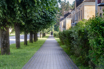 Quiet Tree-Lined Sidewalk with Residential Buildings and Greenery on a Sunny Day